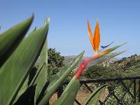 zenphoto/albums/2013/crete/joelle/IMG_0808.jpg