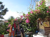zenphoto/albums/2013/crete/joelle/IMG_1028.jpg