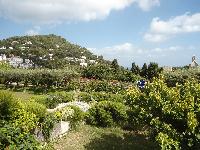 zenphoto/albums/2014/croisiere/capri/CROISIERE EXCURSIONS 029.jpg