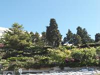 zenphoto/albums/2014/croisiere/taormina/CROISIERE EXCURSIONS 050.jpg