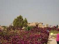 zenphoto/albums/2014/croisiere/tunisie/CROISIERE EXCURSIONS 091.jpg