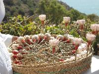 zenphoto/albums/2014/croisiere/tunisie/CROISIERE EXCURSIONS 103.jpg