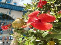 zenphoto/albums/2014/croisiere/tunisie/CROISIERE EXCURSIONS 120.jpg