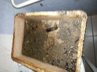 zenphoto/albums/2014/degat eaux casimir/20140116_115002.jpg