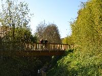 zenphoto/albums/2015/beauval/DSC_0008.jpg