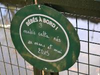 zenphoto/albums/2015/beauval/DSC_0020.jpg