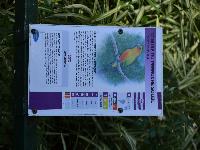 zenphoto/albums/2015/beauval/DSC_0027.jpg