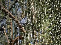zenphoto/albums/2015/beauval/DSC_0029.jpg