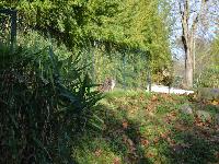 zenphoto/albums/2015/beauval/DSC_0054.jpg