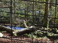 zenphoto/albums/2015/beauval/DSC_0095.jpg