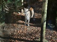 zenphoto/albums/2015/beauval/DSC_0132.jpg