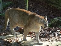 zenphoto/albums/2015/beauval/DSC_0136.jpg