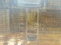 zenphoto/albums/2015/beauval/DSC_0143.jpg