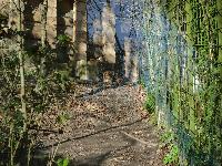 zenphoto/albums/2015/beauval/DSC_0196.jpg