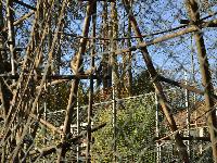 zenphoto/albums/2015/beauval/DSC_0222.jpg