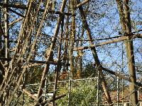 zenphoto/albums/2015/beauval/DSC_0223.jpg