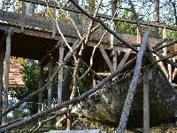 zenphoto/albums/2015/beauval/DSC_0239.jpg