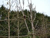 zenphoto/albums/2015/beauval/DSC_0323.jpg