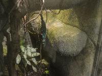 zenphoto/albums/2015/beauval/DSC_0345.jpg