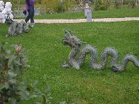 zenphoto/albums/2015/beauval/DSC_0476.jpg