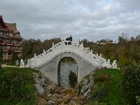 zenphoto/albums/2015/beauval/DSC_0582.jpg