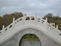 zenphoto/albums/2015/beauval/DSC_0589.jpg