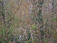 zenphoto/albums/2015/beauval/DSC_0616.jpg