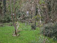 zenphoto/albums/2015/beauval/DSC_0617.jpg