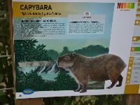 zenphoto/albums/2015/beauval/DSC_0625.jpg