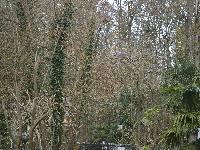 zenphoto/albums/2015/beauval/DSC_0639.jpg