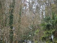 zenphoto/albums/2015/beauval/DSC_0641.jpg
