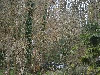 zenphoto/albums/2015/beauval/DSC_0643.jpg