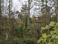 zenphoto/albums/2015/beauval/DSC_0647.jpg