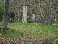 zenphoto/albums/2015/beauval/DSC_0689.jpg