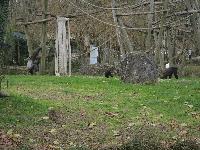 zenphoto/albums/2015/beauval/DSC_0690.jpg