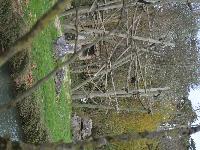 zenphoto/albums/2015/beauval/DSC_0693.jpg