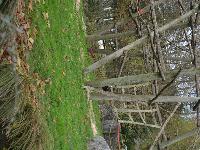 zenphoto/albums/2015/beauval/DSC_0701.jpg