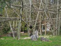 zenphoto/albums/2015/beauval/DSC_0703.jpg