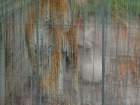 zenphoto/albums/2015/beauval/DSC_0777.jpg