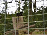 zenphoto/albums/2015/beauval/DSC_0790.jpg