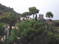 zenphoto/albums/2015/hyeres/13 septembre marché bormes lavandou/charpentier0018.jpg