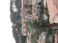 zenphoto/albums/2015/hyeres/13 septembre marché bormes lavandou/charpentier0019.jpg