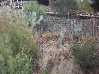 zenphoto/albums/2015/hyeres/13 septembre marché bormes lavandou/charpentier0023.jpg