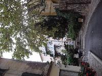 zenphoto/albums/2015/hyeres/13 septembre marché bormes lavandou/charpentier0024.jpg