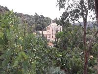 zenphoto/albums/2015/hyeres/13 septembre marché bormes lavandou/charpentier0028.jpg