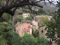 zenphoto/albums/2015/hyeres/13 septembre marché bormes lavandou/charpentier0030.jpg
