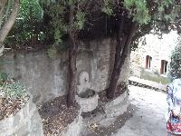 zenphoto/albums/2015/hyeres/13 septembre marché bormes lavandou/charpentier0036.jpg