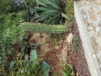 zenphoto/albums/2015/hyeres/13 septembre marché bormes lavandou/julien0013.jpg