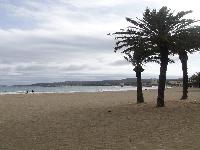 zenphoto/albums/2015/hyeres/13 septembre marché bormes lavandou/leclerc0007.jpg