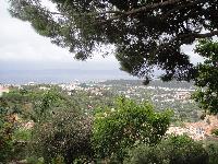 zenphoto/albums/2015/hyeres/13 septembre marché bormes lavandou/leclerc0018.jpg